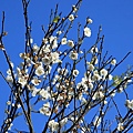 2C9A9418.JPG