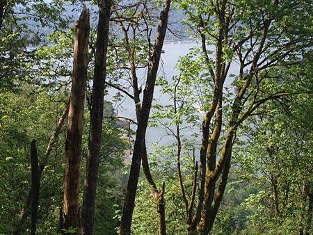 burnaby mountain 4