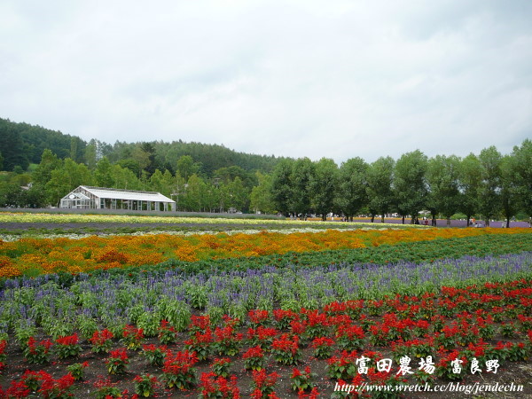 富良野-札幌pana 069