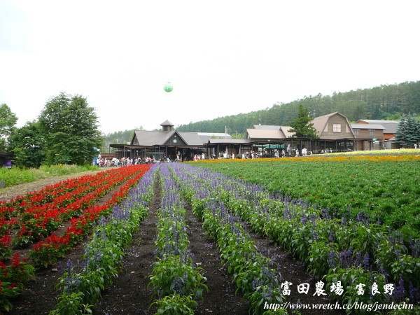 富良野-札幌pana 111