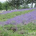 富良野-札幌canon 048