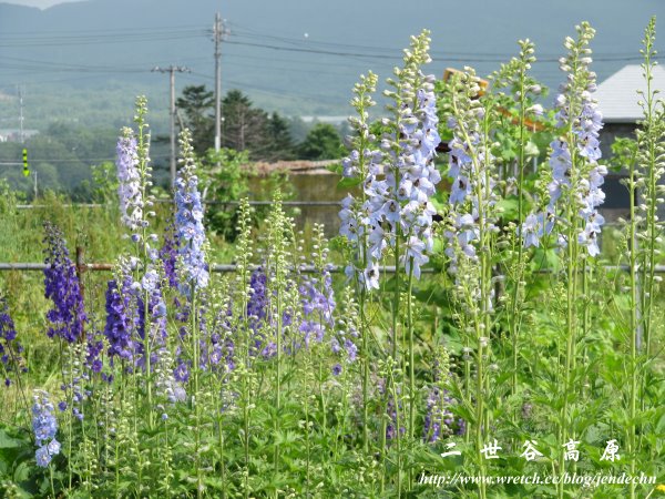 高橋體驗牧場canon 098 (7)