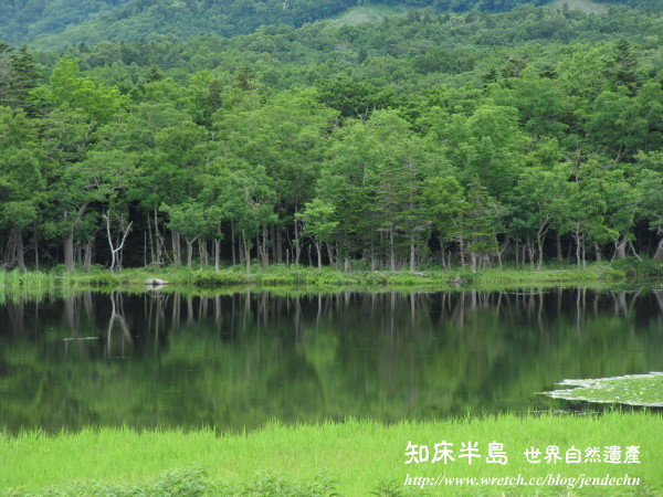 清里町-知床五湖-羅臼-根室canon 061