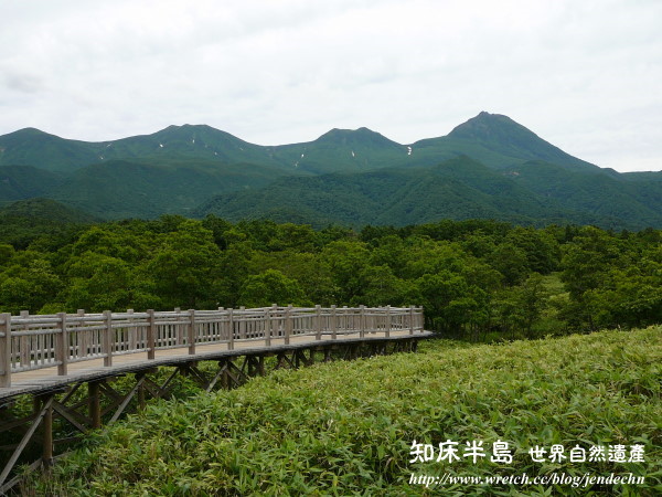 清里町-知床五湖-羅臼-野付半島-根室pana 103