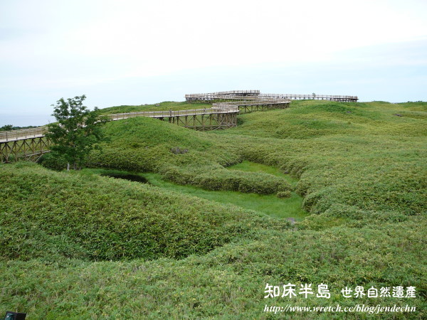 清里町-知床五湖-羅臼-野付半島-根室pana 109