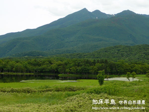 清里町-知床五湖-羅臼-野付半島-根室pana 119