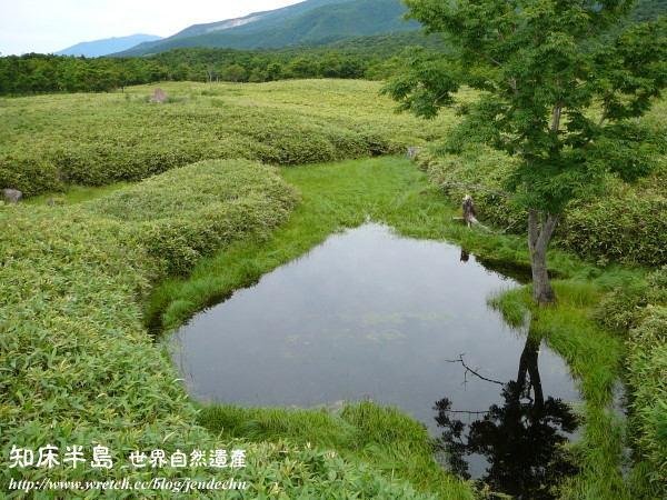 清里町-知床五湖-羅臼-野付半島-根室pana 147