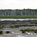 清里町-知床五湖-羅臼-野付半島-根室pana 192