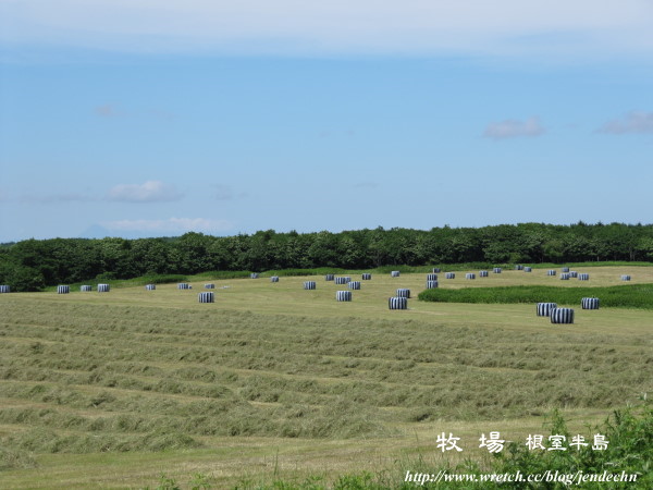 根室-厚岸-釧路canon 059