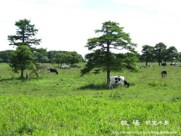 根室-厚岸-釧路canon 065