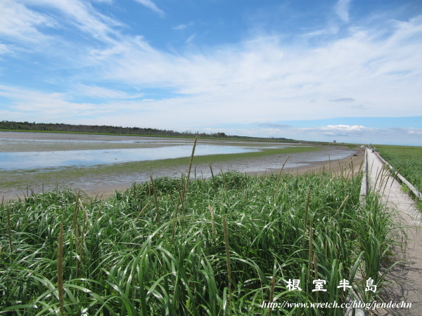 根室-厚岸-釧路canon 038