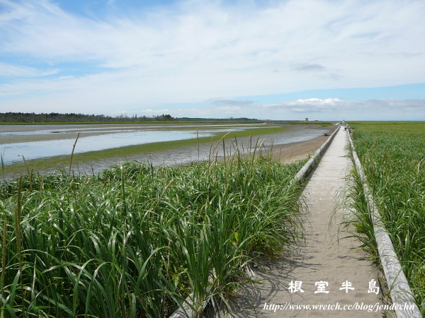 根室-厚岸-釧路pana 131