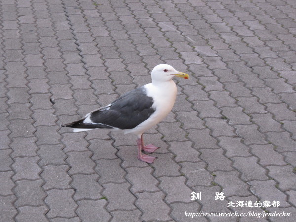 根室-厚岸-釧路canon 129