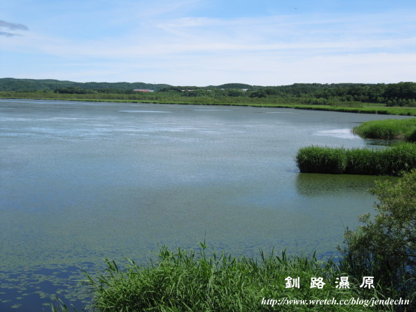 釧路濕原-摩周湖-屈斜路湖canon 091