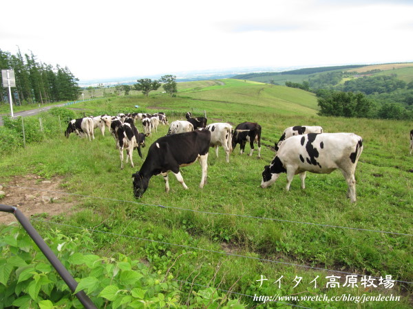 阿寒湖-上士幌町高原牧場-帶廣canon 128