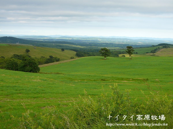 阿寒湖-上士幌町高原牧場-帶廣pana 174