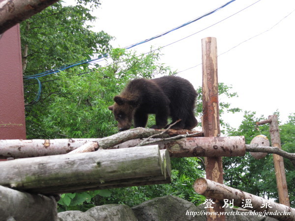 登別溫泉canon 036