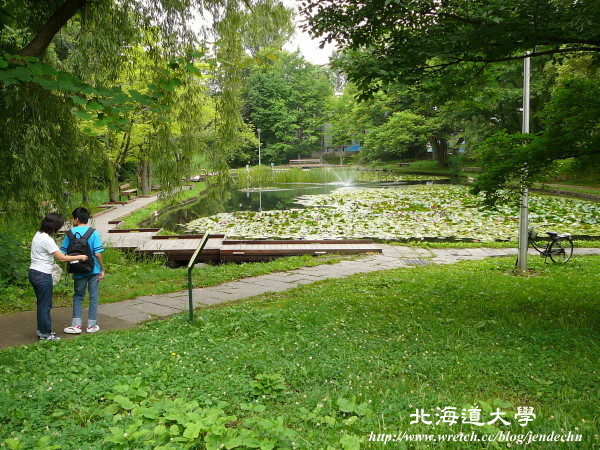 札幌-北海道大學pana 047