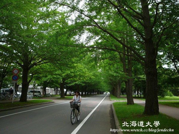 札幌-北海道大學pana 050