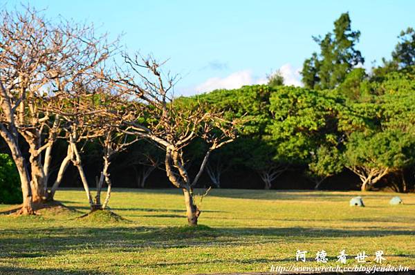 貓鼻頭-船帆石D7 160