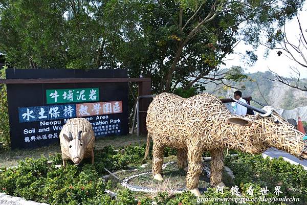 鰲鼓溼地-牛埔D3 042