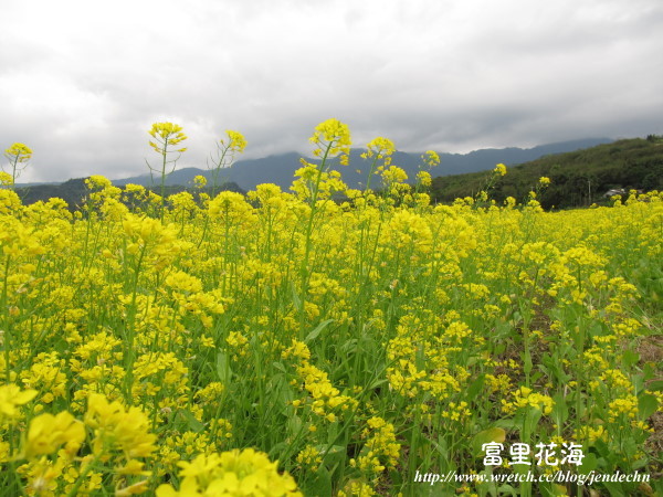 松浦-大坡池-富里canon 106