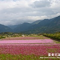 松浦-大坡池-富里pana 099