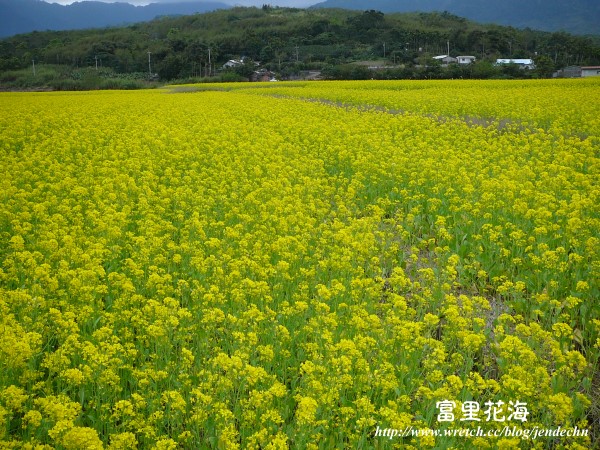 松浦-大坡池-富里pana 170