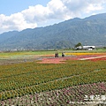 玉里-台26canon 017