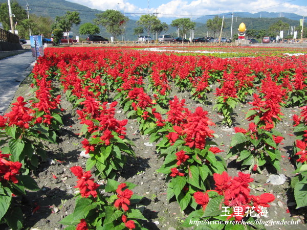 玉里-台26canon 035