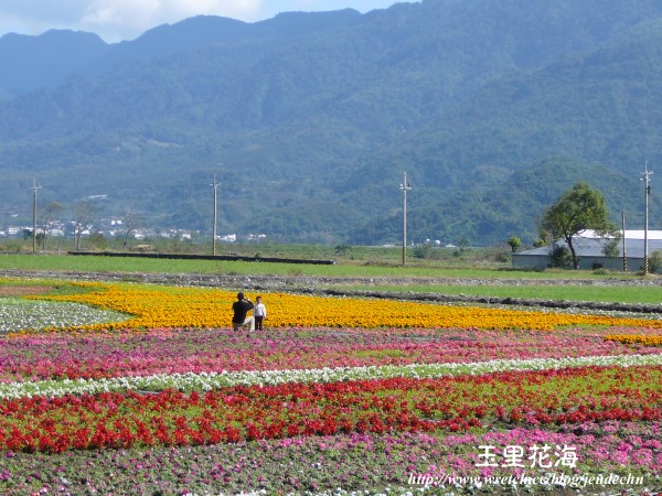 玉里-台26pana2 013