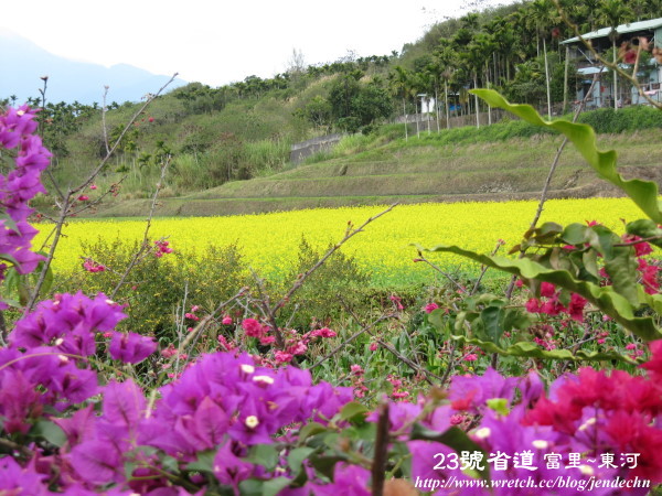 玉里-台26canon 101