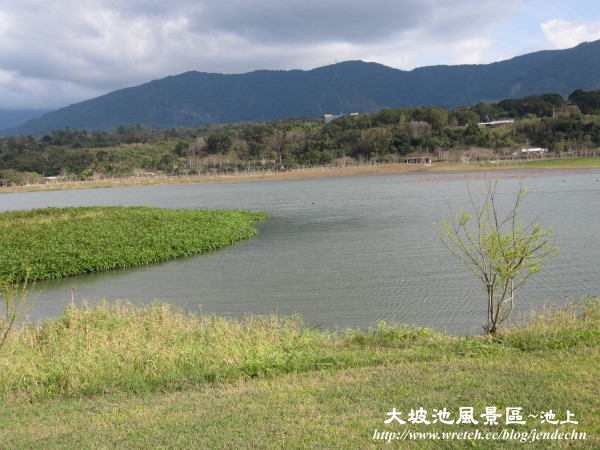 松浦-大坡池-富里canon 059