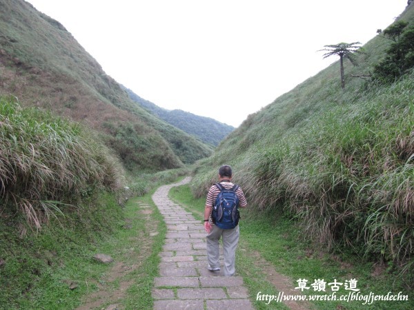 102甲油桐花-草嶺古道canon 120