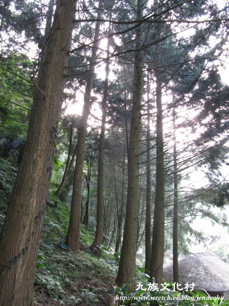 九族-日月潭-溪頭-劍湖山 144