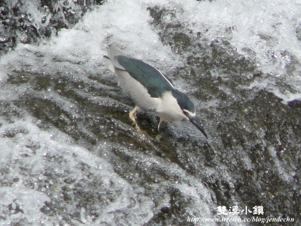 雙溪-九份canon 005