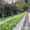 2011陽明山花季canon 127