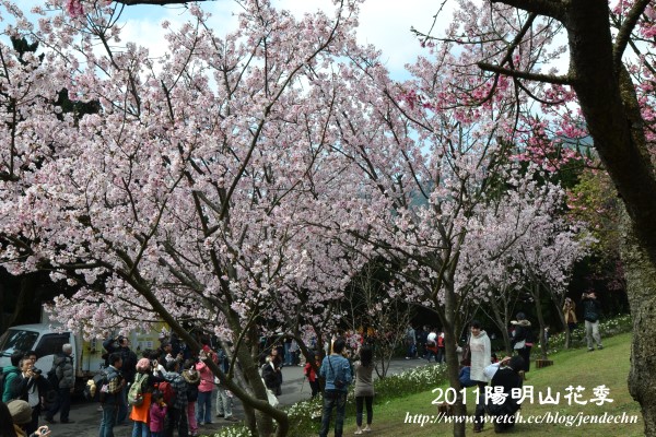 2011陽明山花季nikon 007