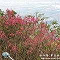 18份登山路D7 095