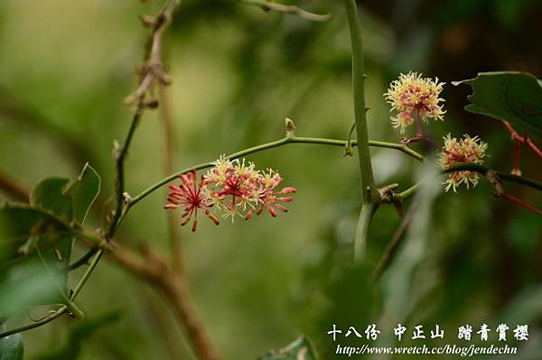 18份登山路D7 166