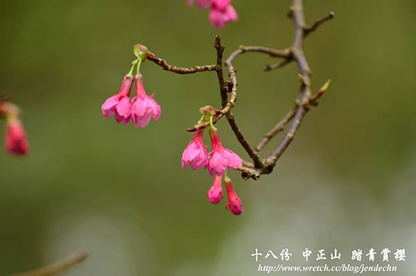 18份登山路D7 237