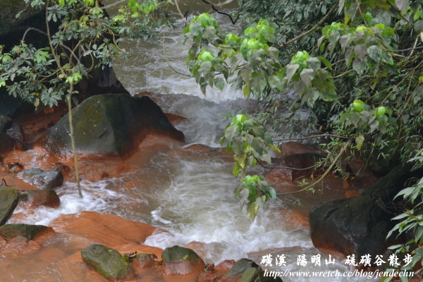 陽明山 014