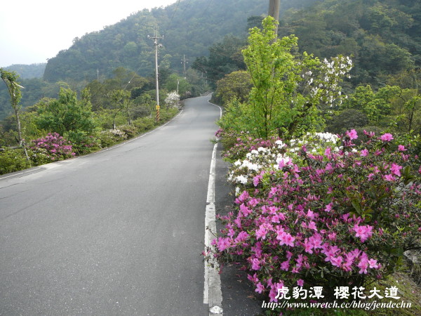 茶花莊-虎豹潭canon 067