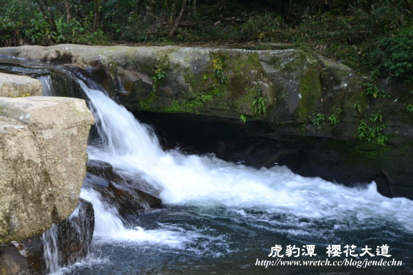 茶花莊-虎豹潭nikon 109