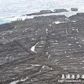 鼻頭角步道-漁港 066