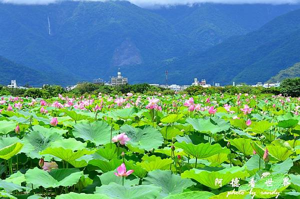 大坡池 094