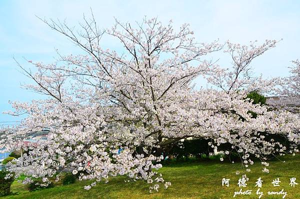 呼子-唐津-福岡D7 006.JPG