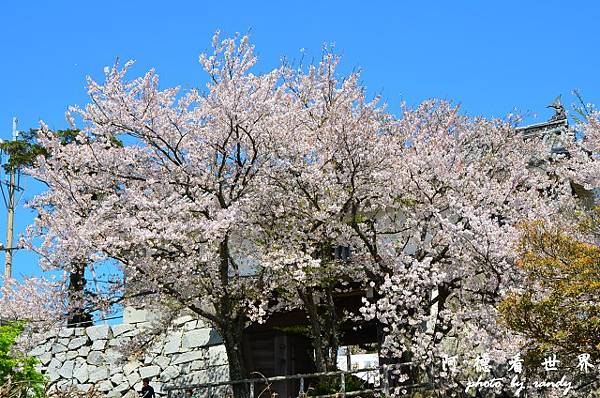 呼子-唐津-福岡D7 158.JPG