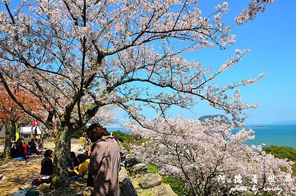 呼子-唐津-福岡D7 175.JPG