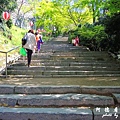 呼子-唐津-福岡P77 148.JPG